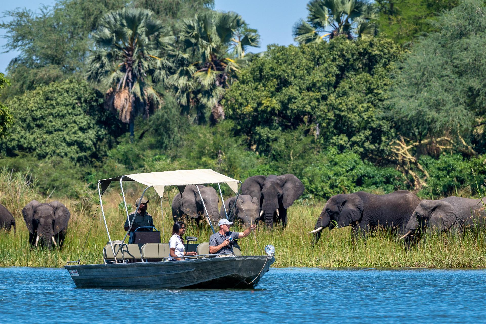 Boat Safari